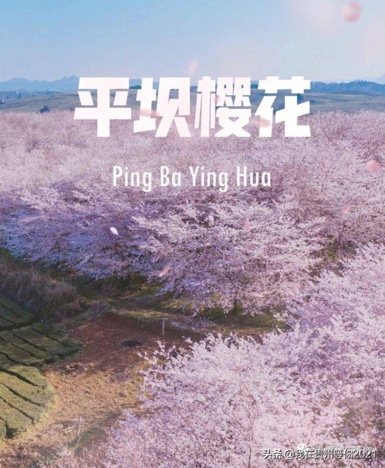 朝鲜进行水下核武器系统试验 | 国际专题